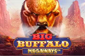 big-buffalo-img